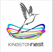 Kingston NEST